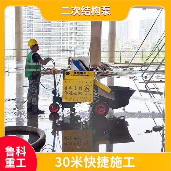 小型室内二次结构输送泵